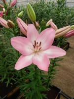 [4028 Albufeira No02.JPG]